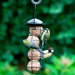 CJ Wildlife Fedtkugler til havens fugle – 6 styk