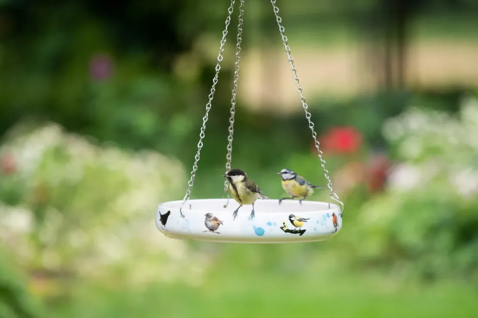 CJ Wildlife Fuglebad til havens fugle