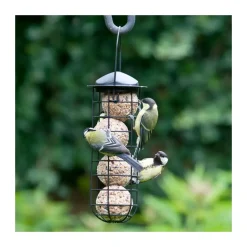 CJ Wildlife 30 stk. fedtkugler med insekter