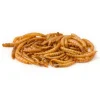 CJ Wildlife Tørrede melorme 50 gram