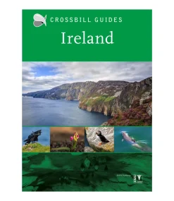 Crossbil Guide: Ireland | Rejseguide