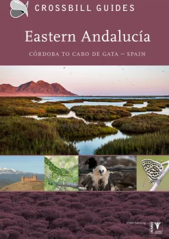 Crossbill Guide: Eastern Andalucia | Rejseguide