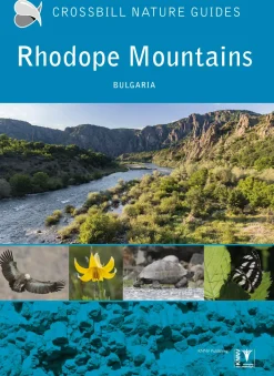 Crossbill Guide: Rhodope Mountains | Rejseguide