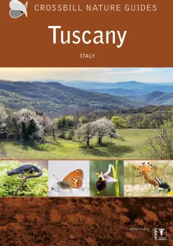 Crossbill guide: Tuscany | Rejseguide