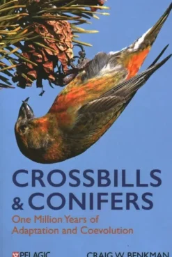 Crossbills and Conifers | Bog