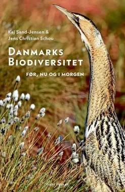 Danmarks biodiversitet: Før, nu og i morgen | Bog