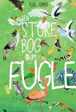 Den store bog om fugle | Børnebog