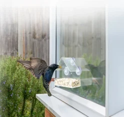 DOF BirdLife 13H Akryl foderhus til vinduet