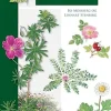 Feltfloraen | Bog