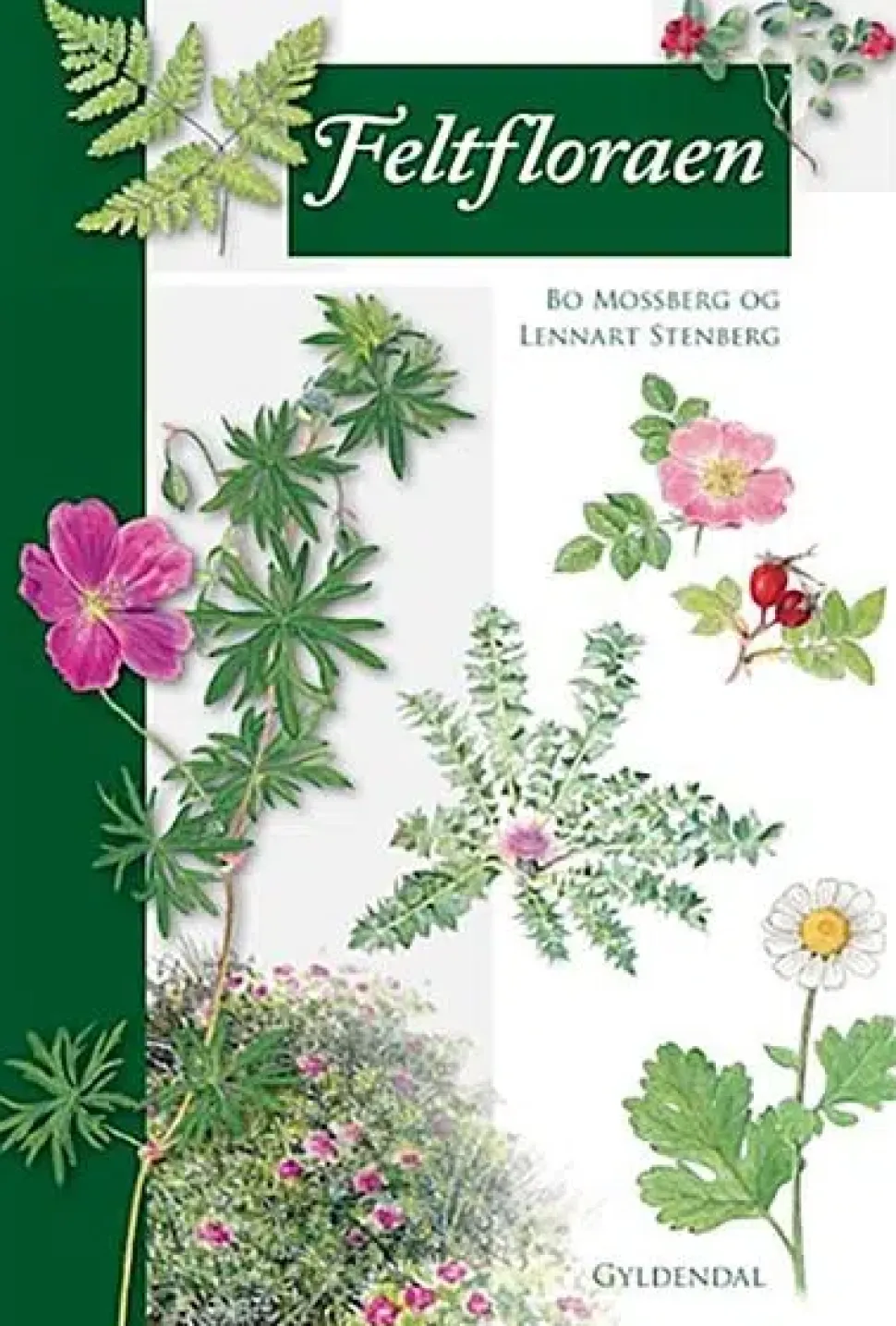 Feltfloraen | Bog