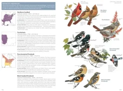 Field Guide to the Birds of the United States and Canada: East | Bog