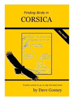 Finding Birds in Corsica | Rejseguide