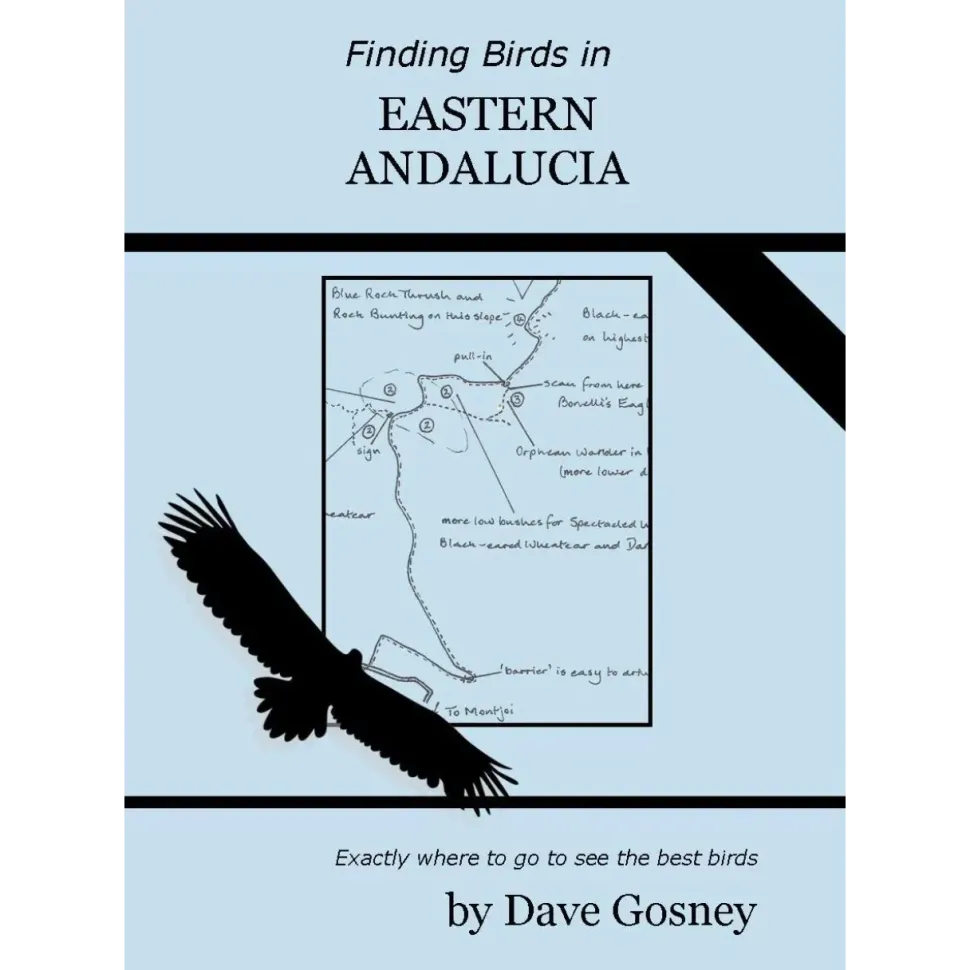 Finding birds in Eastern Andalucia | Rejseguide
