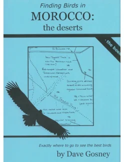 Finding Birds in Morocco: The Deserts | Rejseguide