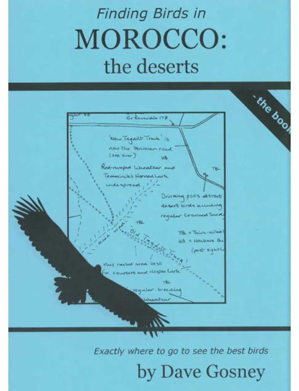Finding Birds in Morocco: The Deserts | Rejseguide
