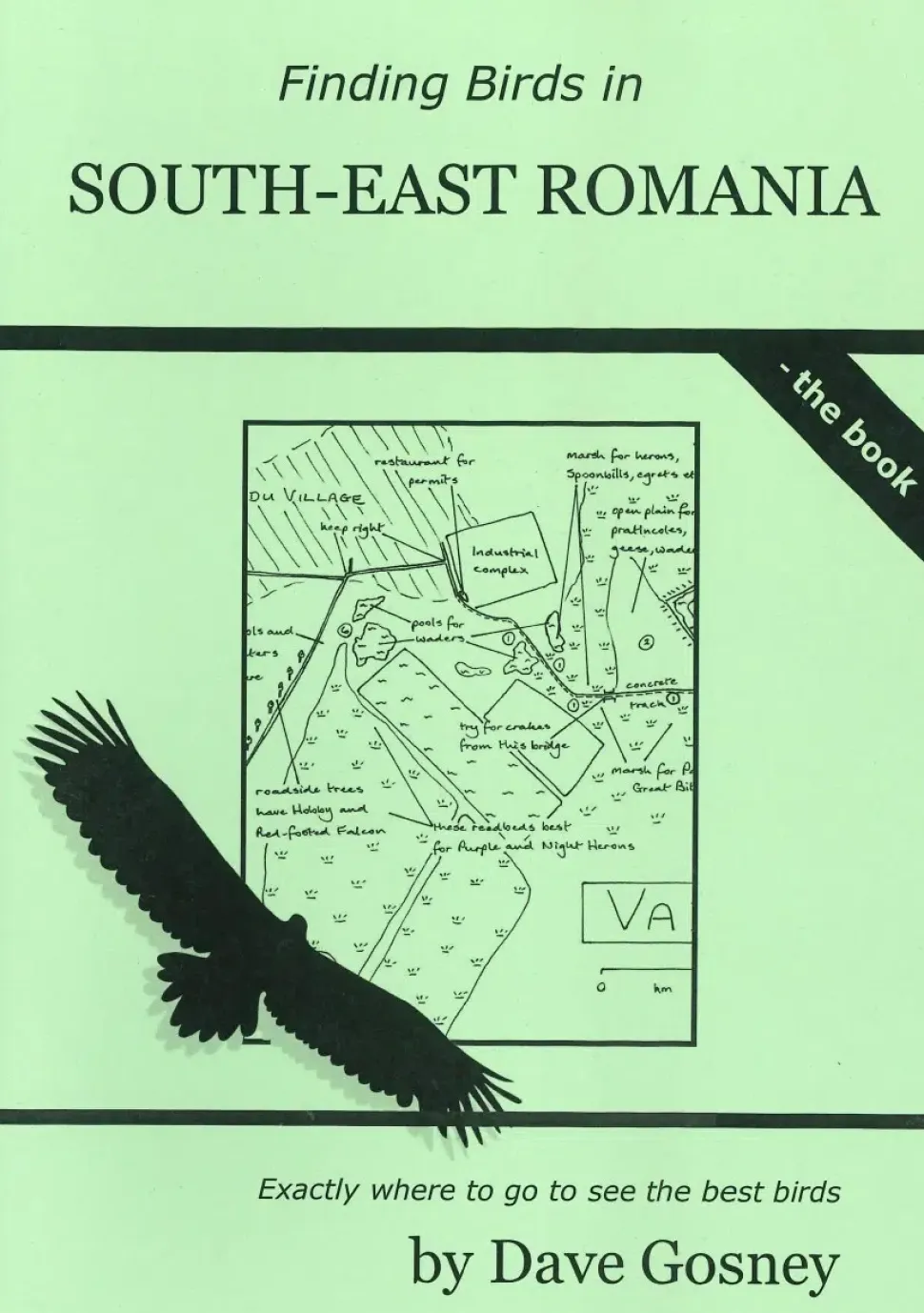 Finding Birds in South-East Romania | Rejseguide