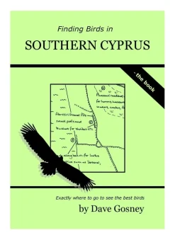 Finding Birds in Southern Cyprus – Rejseguide