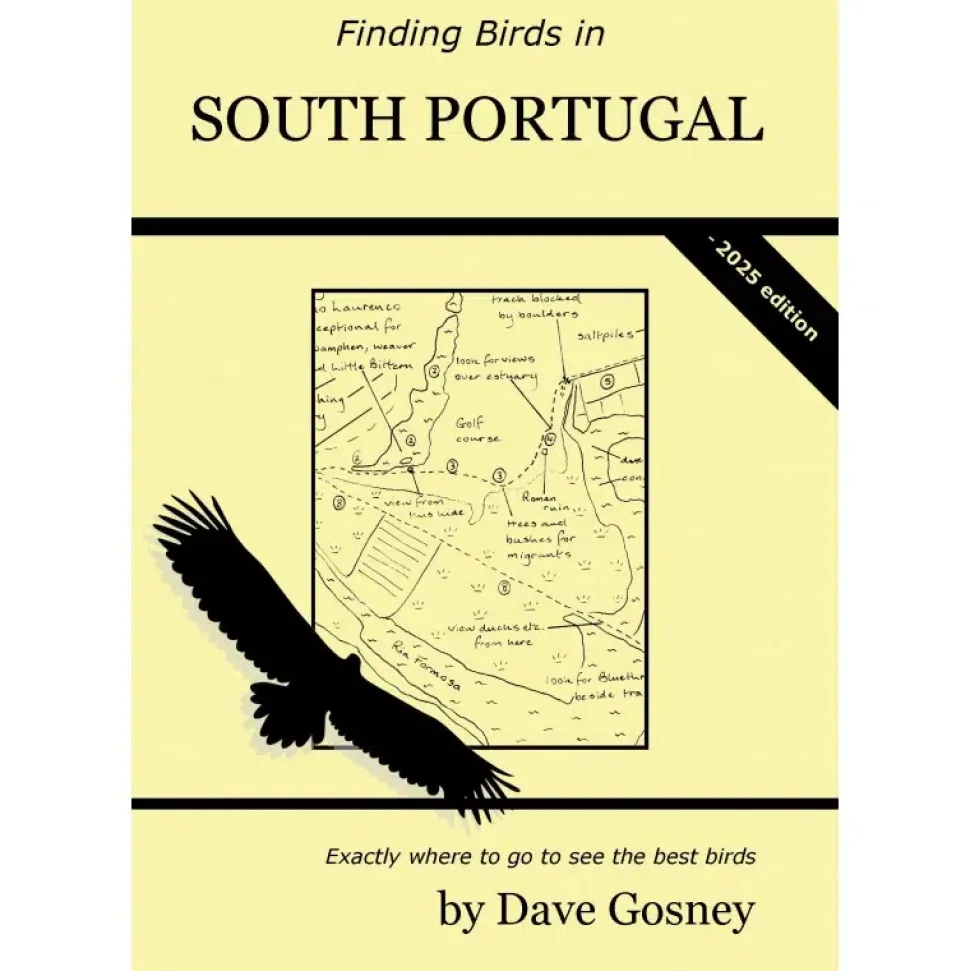 Finding Birds in South Portugal | Rejseguide