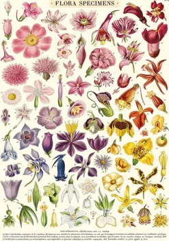 Flora Specimens plakat