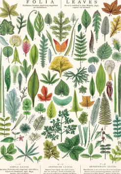 Folia Leaves plakat