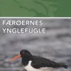 Færøernes Ynglefugle | Bog