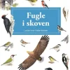 Fugle i skoven | Bog