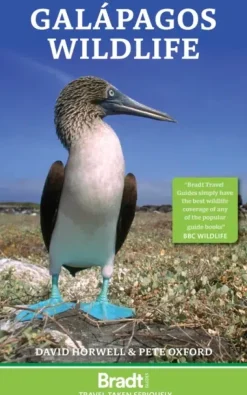 Galápagos Wildlife | Bog