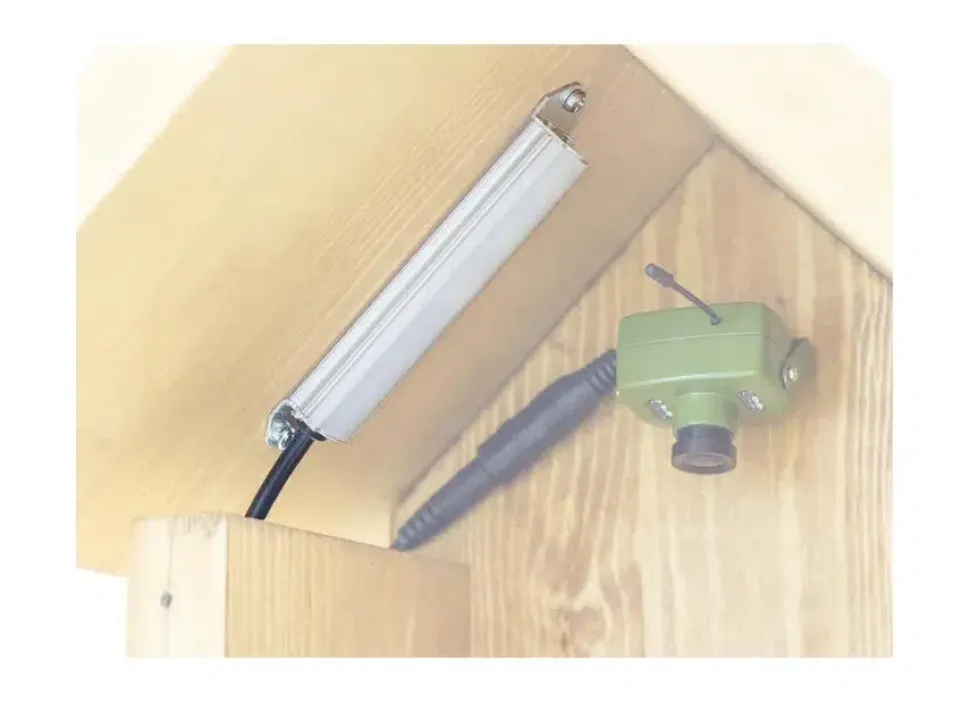 Green Feathers Dagslys LED lampe til redekasser
