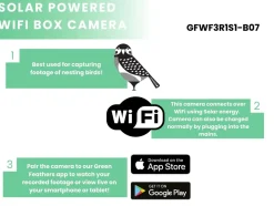 Green Feathers HD WiFi kamera med solcelle til redekasse