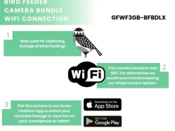Green Feathers Holder til foderautomat med HD WiFi kamera