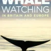 Guide To Whale Watching In Britain And Europe | Bog