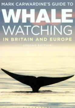 Guide To Whale Watching In Britain And Europe | Bog