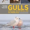 Gulls of Europe, North Africa and the Middle East: An identification guide | Bog