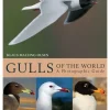 Gulls of the World – A Photographic Guide af Klaus Malling Olsen | Bog