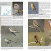 Handbook of Western Palearctic Birds: Passerines – 2 bindsværk af Hadoram Shirihai & Lars Svensson | Bog
