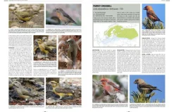 Handbook of Western Palearctic Birds: Passerines – 2 bindsværk af Hadoram Shirihai & Lars Svensson | Bog