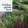Hvilken plante hvor | Bog