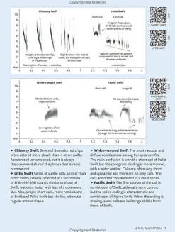 Identifying Migratory Birds by Sound in Britain and Europe | Bog