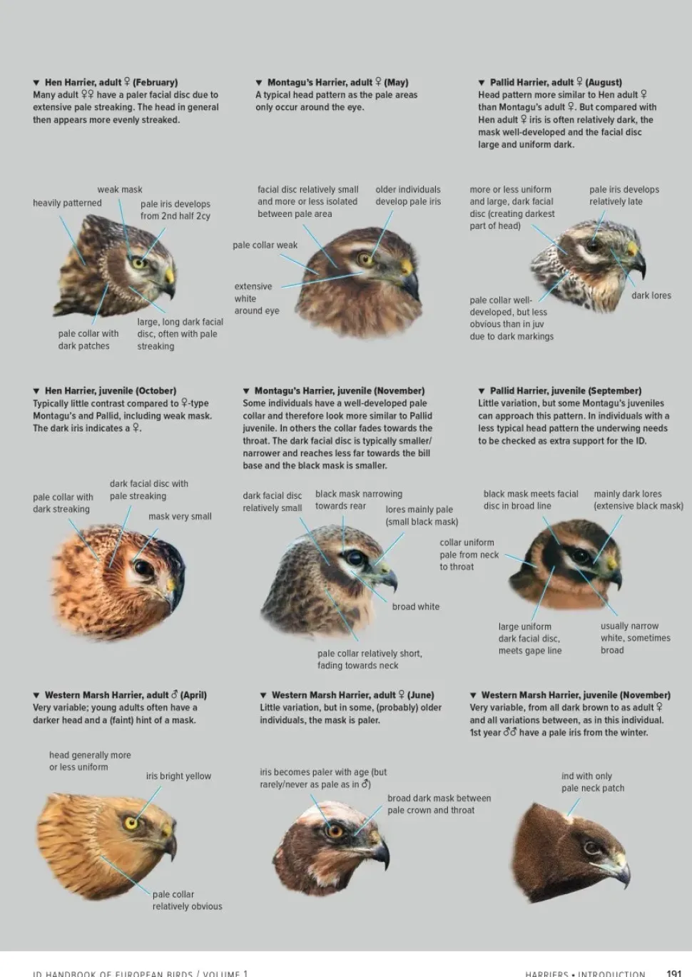 ID Handbook of European Birds | Bog i to bind