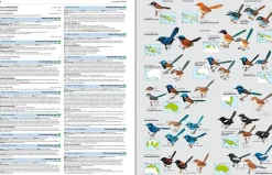 Illustrated checklist of the birds of the world vol. 2: Passerines | Bog