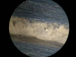 iPhone digiscoping adapter – Kowa TSN – Otterbox