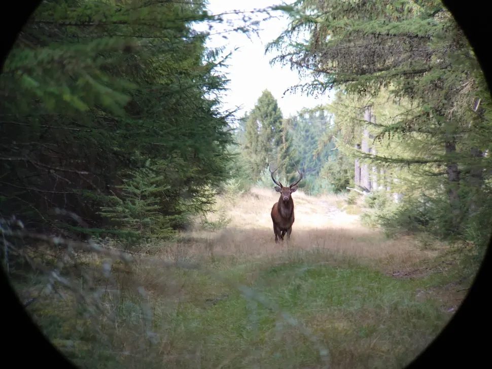 iPhone digiscoping adapter – Kowa TSN – Otterbox