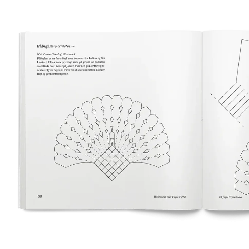 Jule Fugle Flet 2 | Bog