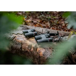 Kite Falco 8×42 | kikkert