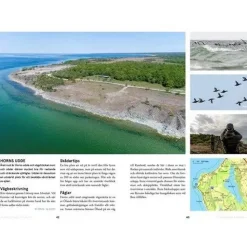 Ölands Fågellokaler | Rejseguide