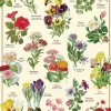 Language of Flowers plakat