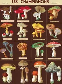 Les Champignons plakat