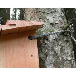 Natuglekasse med langdistance HD kamera
