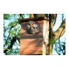 Natugle redekasse i FSC-certificeret douglasgran