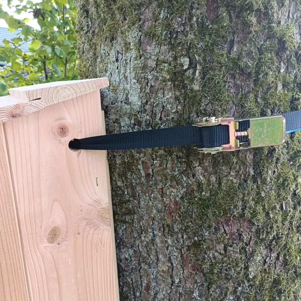 Natugle redekasse i FSC-certificeret douglasgran